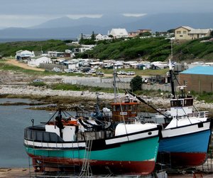 Besoekersgetalle lyk belowend